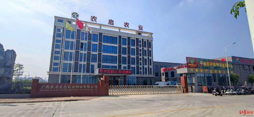 紅星調查 三家公司中標廣西平南學校食堂食品配送項目后,統一配送的大米被緊急召回