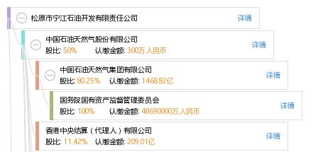 松原市寧江石油開發(fā)有限責(zé)任公司