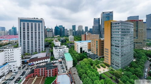 第二樓長 到崗,有問必解服務(wù)企業(yè)發(fā)展