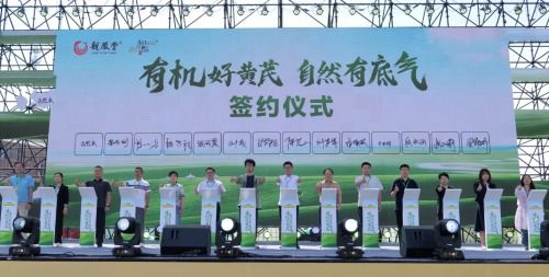 供需兩端 雙向奔赴 ,揚子江藥業集團推動產業鏈創新融合發展